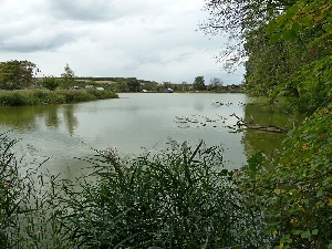 Казариновский пруд