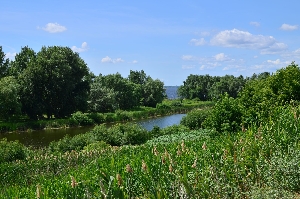 Река Терса (Терсянка)