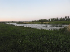Река Грязнуха (приток Большого Карамана)