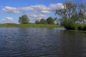 Некрасовский пруд