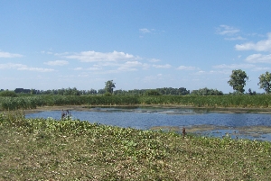 Река Клопиха