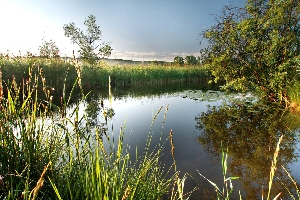 Гагаринский пруд